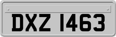 DXZ1463