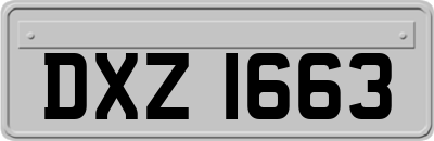 DXZ1663