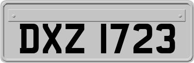 DXZ1723
