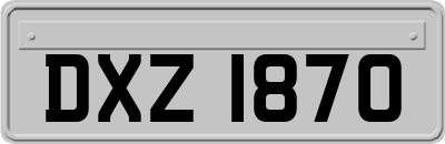 DXZ1870