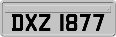 DXZ1877