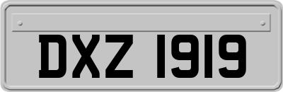 DXZ1919