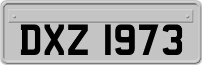 DXZ1973