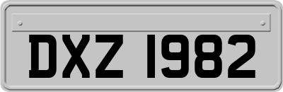 DXZ1982