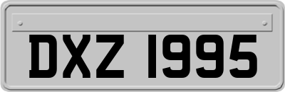 DXZ1995