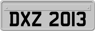 DXZ2013