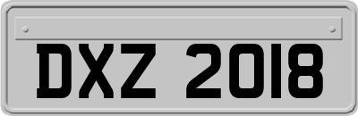 DXZ2018