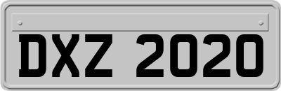 DXZ2020