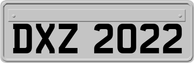 DXZ2022