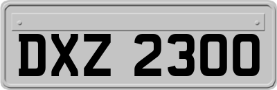 DXZ2300