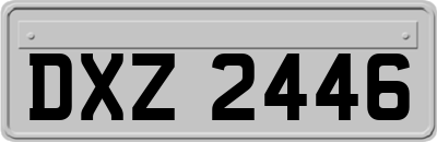 DXZ2446
