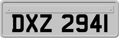 DXZ2941