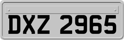 DXZ2965