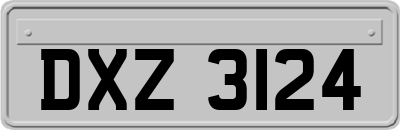 DXZ3124