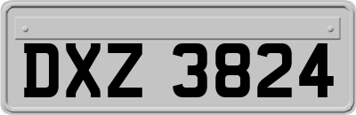 DXZ3824