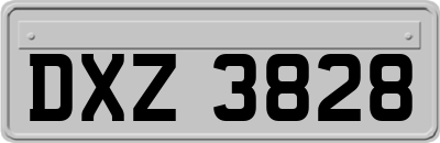 DXZ3828