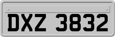 DXZ3832