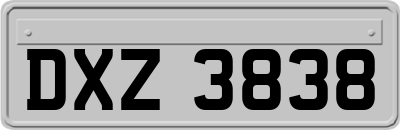 DXZ3838