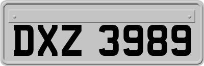 DXZ3989