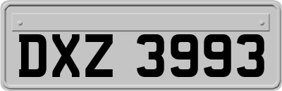 DXZ3993