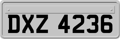 DXZ4236