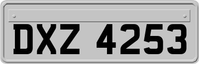 DXZ4253