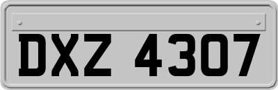 DXZ4307