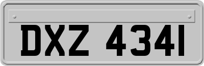 DXZ4341