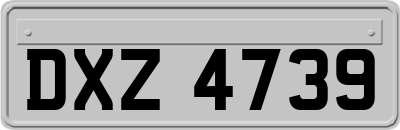 DXZ4739