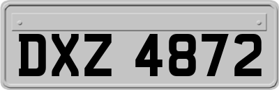 DXZ4872