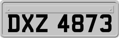 DXZ4873