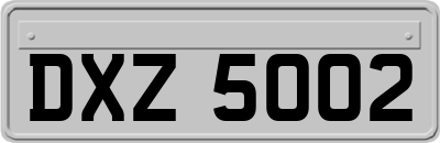 DXZ5002