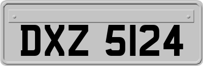 DXZ5124