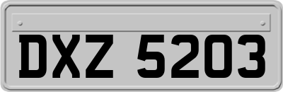 DXZ5203