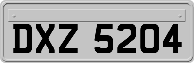 DXZ5204