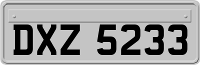 DXZ5233