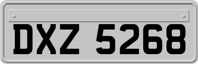 DXZ5268