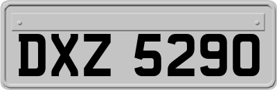 DXZ5290