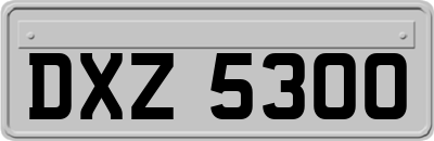 DXZ5300