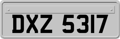 DXZ5317