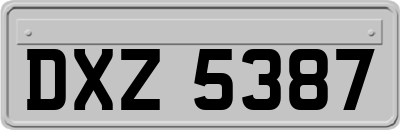 DXZ5387