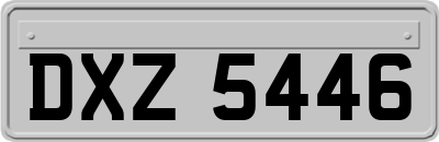 DXZ5446