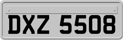 DXZ5508