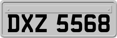 DXZ5568