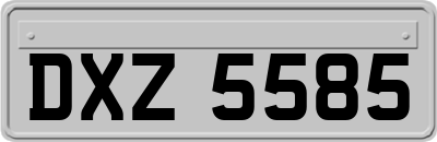 DXZ5585