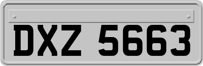 DXZ5663