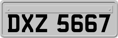 DXZ5667