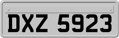 DXZ5923