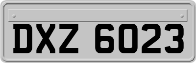 DXZ6023