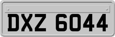 DXZ6044